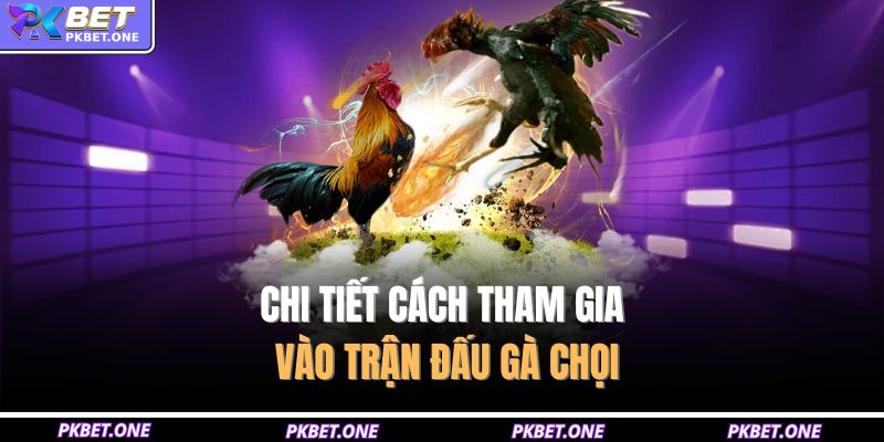 Chi tiết cách tham gia vào trận đấu gà chọi
