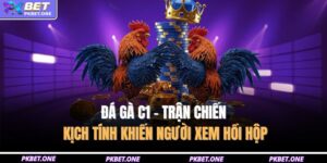 Đá Gà C1 - Trận Chiến Kịch Tính Khiến Người Xem Hồi Hộp 16 Đá gà c1
