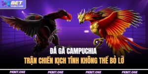 Đá Gà Campuchia