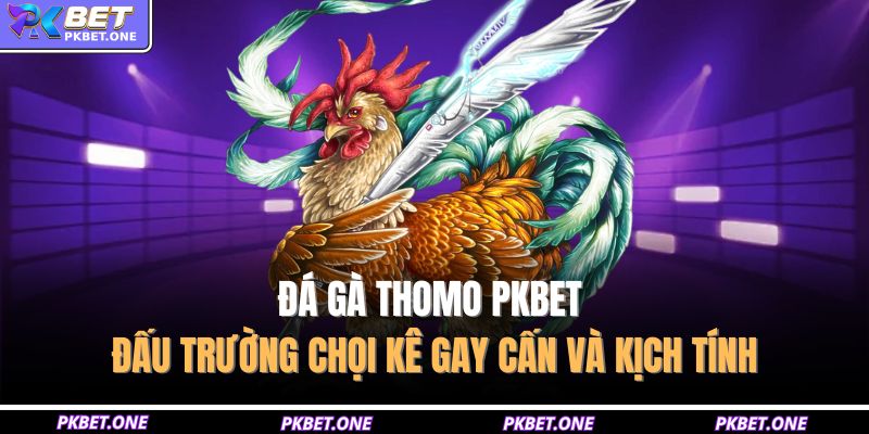 Đá gà thomo PKBET