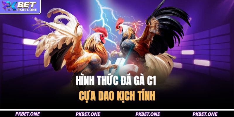 Hình thức đá gà c1 cựa dao kịch tính