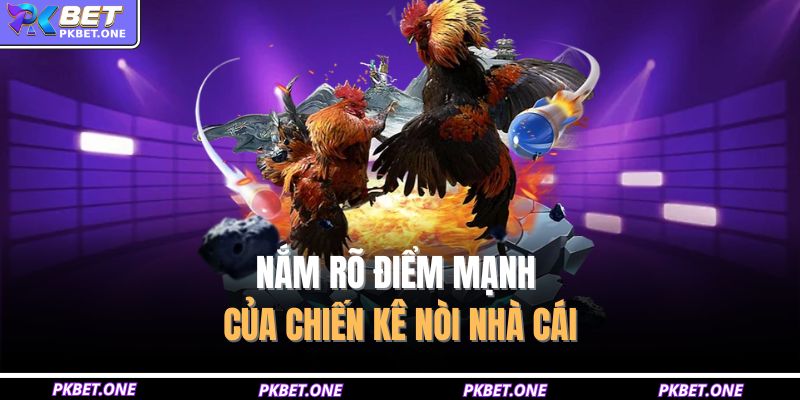 Gà Chọi Nòi PKBET – Trận Đấu Cân Sức, Kỹ Thuật Điểm Cao 4 Nắm rõ điểm mạnh của chiến kê nòi nhà cái