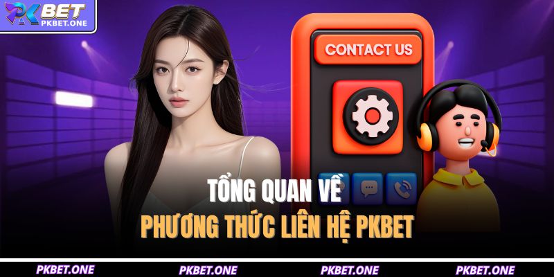 Tổng quan về phương thức liên hệ PKBET